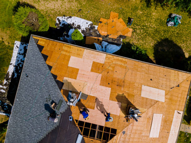 Roof Gutter Cleaning in Chickasaw, AL