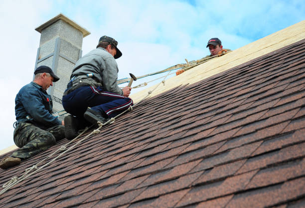 Best Roof Gutter Cleaning  in Chickasaw, AL